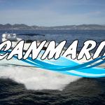 Чартер Sunseeker Manhattan 74